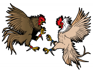 Daftar Agen S128 Judi Sabung Ayam Resmi